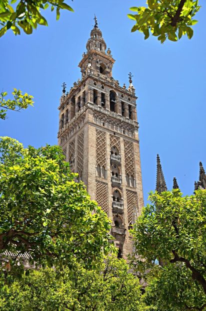 Seville Cathedral Overview